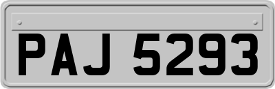 PAJ5293