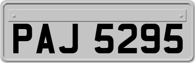 PAJ5295