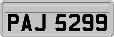 PAJ5299