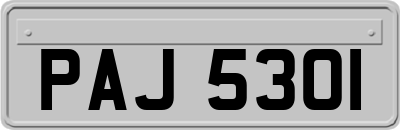 PAJ5301