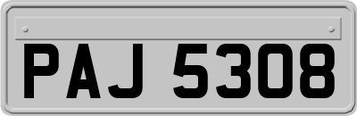 PAJ5308
