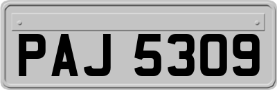 PAJ5309