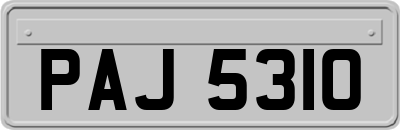 PAJ5310