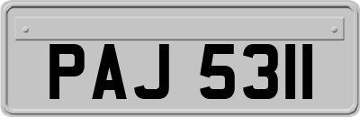 PAJ5311