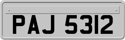 PAJ5312