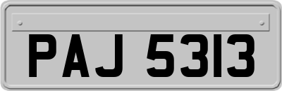 PAJ5313