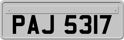 PAJ5317