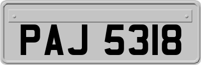 PAJ5318