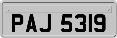 PAJ5319