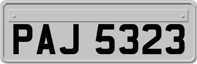 PAJ5323