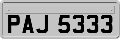 PAJ5333