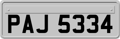 PAJ5334