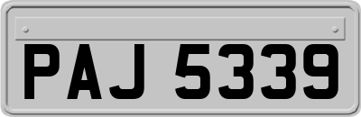 PAJ5339