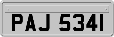 PAJ5341
