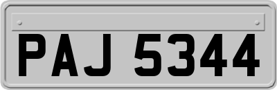 PAJ5344