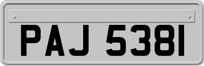 PAJ5381