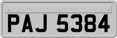 PAJ5384