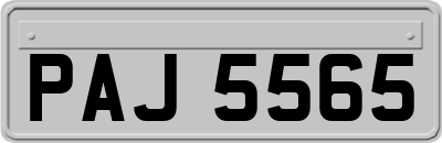PAJ5565