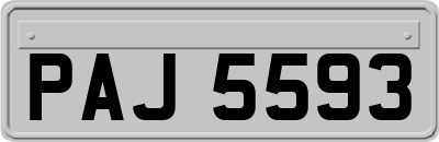 PAJ5593