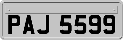 PAJ5599