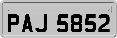 PAJ5852