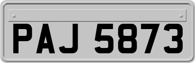 PAJ5873