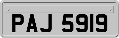 PAJ5919