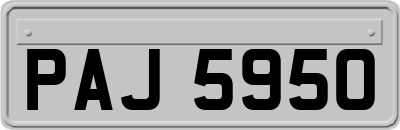 PAJ5950