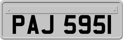PAJ5951