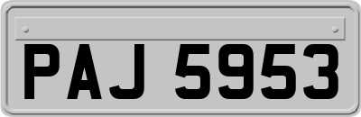 PAJ5953