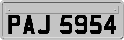PAJ5954