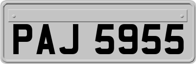 PAJ5955