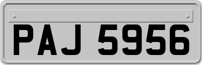 PAJ5956