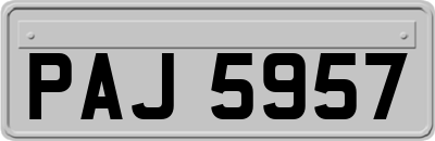 PAJ5957