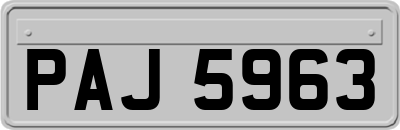 PAJ5963