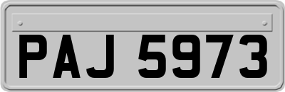 PAJ5973