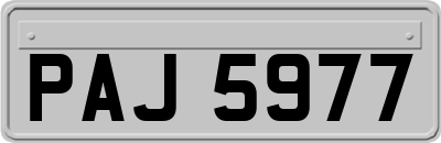PAJ5977