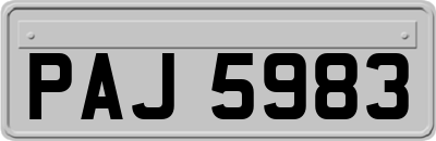PAJ5983