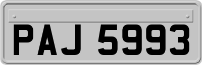 PAJ5993