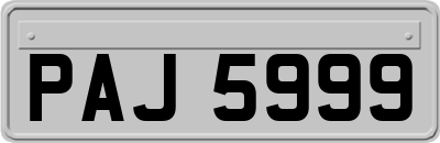 PAJ5999