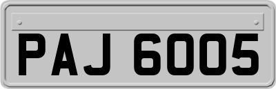 PAJ6005