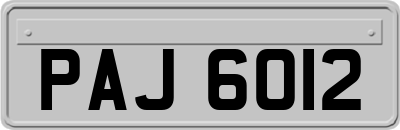 PAJ6012