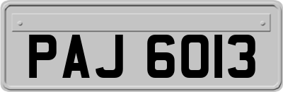PAJ6013