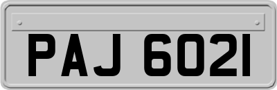 PAJ6021