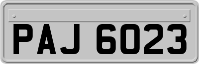 PAJ6023