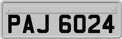 PAJ6024
