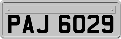 PAJ6029