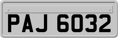 PAJ6032