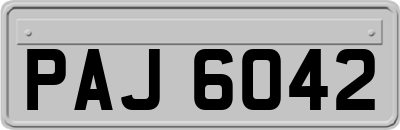 PAJ6042