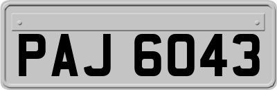 PAJ6043